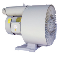 LING-2.jpg