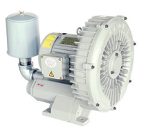 LING-7.jpg